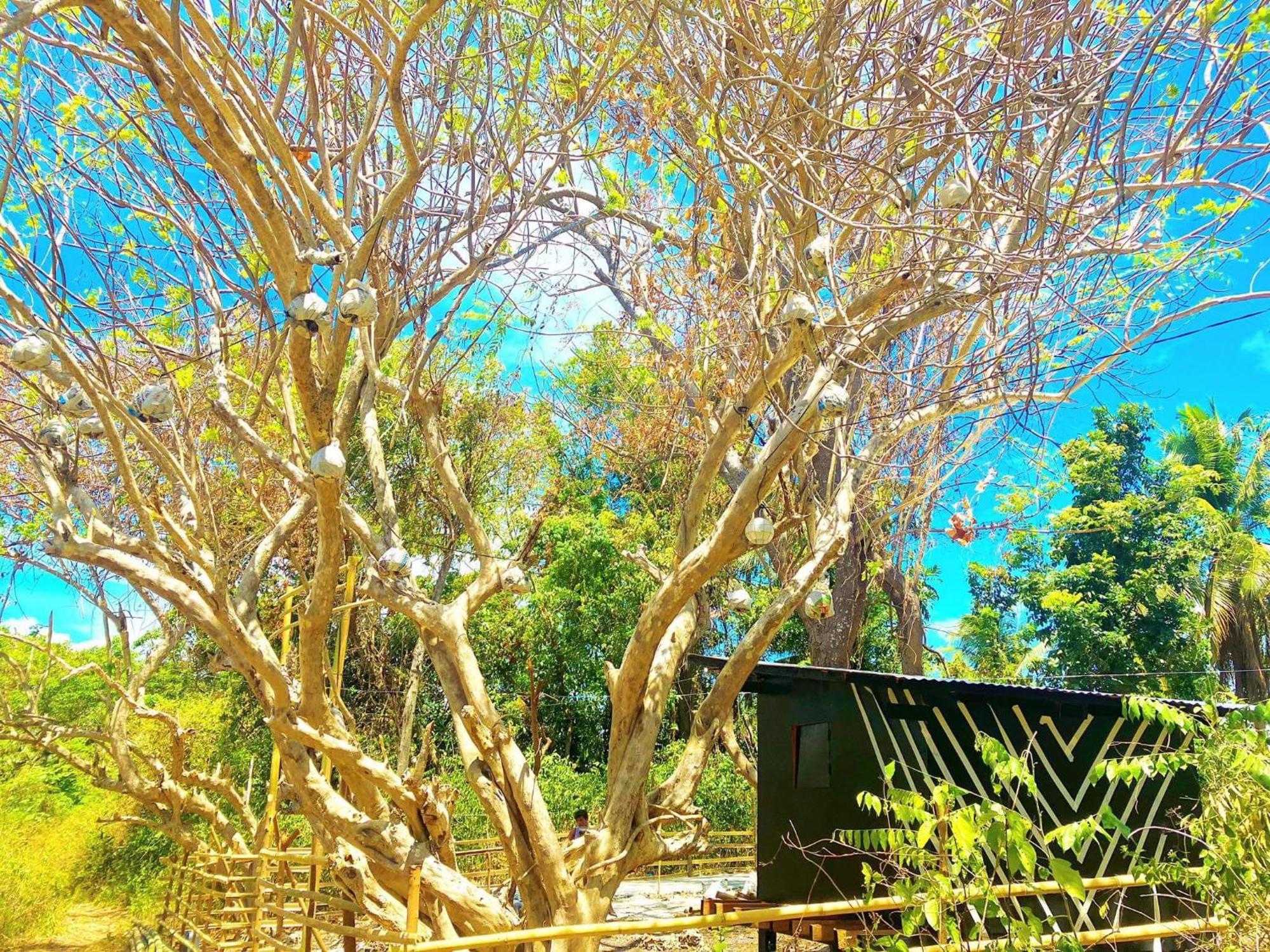 Campsarap Hostel & Resort Valencia  Εξωτερικό φωτογραφία