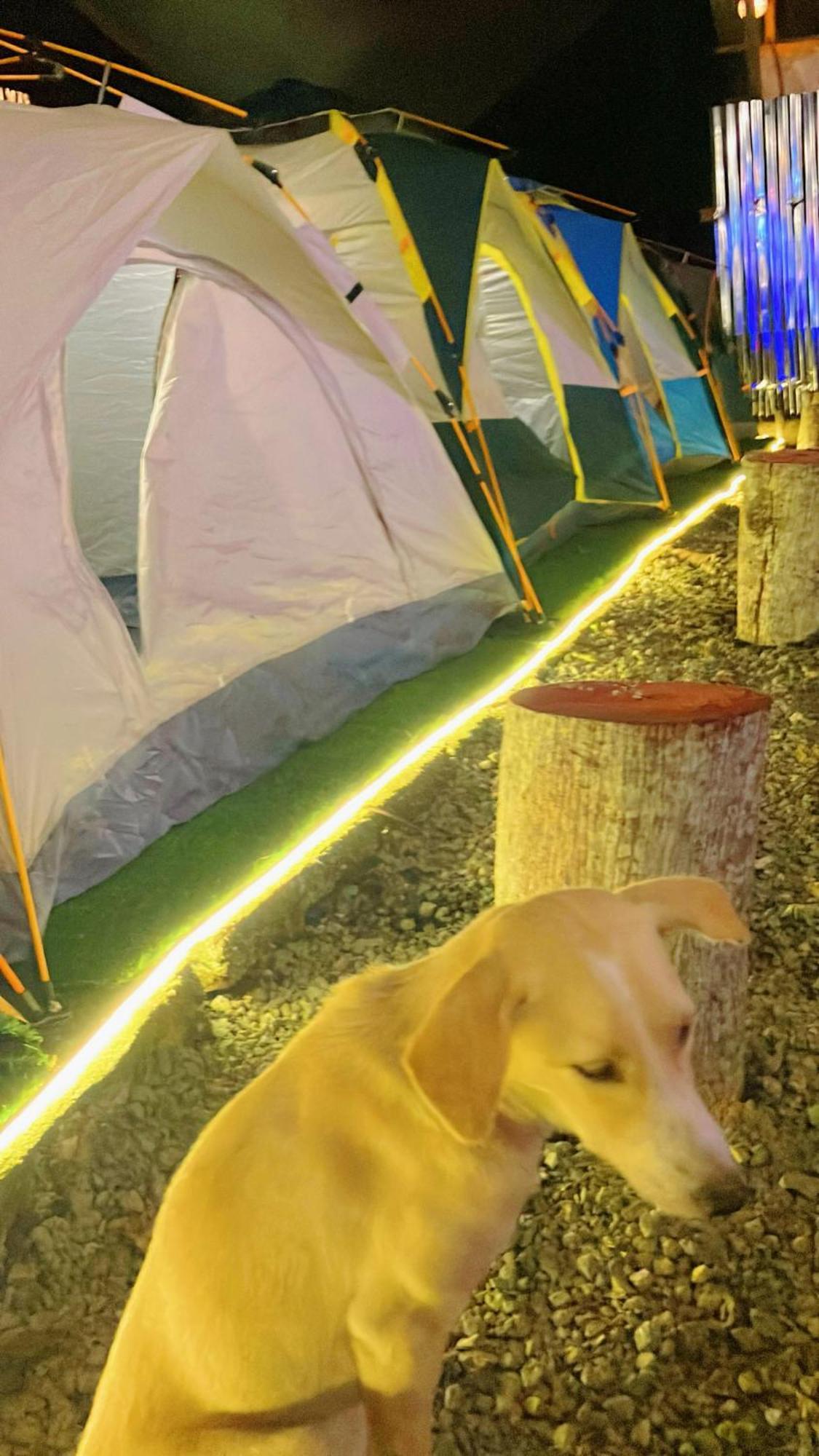 Campsarap Hostel & Resort Valencia  Εξωτερικό φωτογραφία